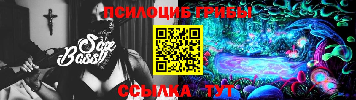 Галлюциногенные грибы Psilocybe  закладка  Лосино-Петровский  Вход с VPN 